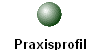Praxisprofil